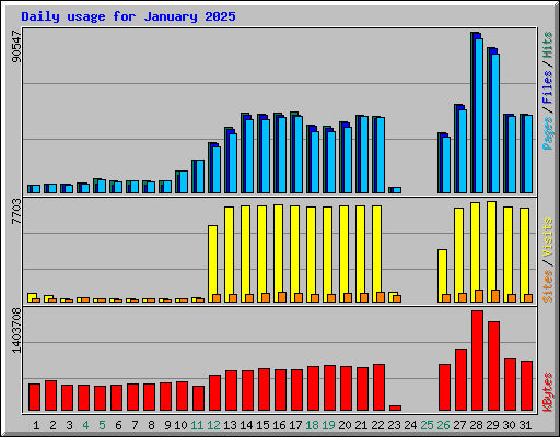 Daily usage for January 2025