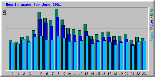 Hourly usage for June 2021