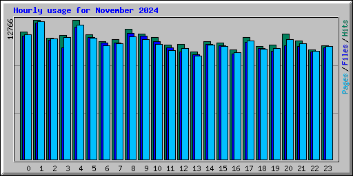 Hourly usage for November 2024