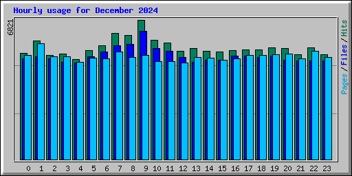 Hourly usage for December 2024