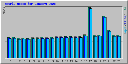 Hourly usage for January 2025