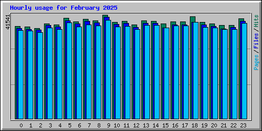 Hourly usage for February 2025