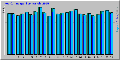 Hourly usage for March 2025