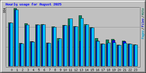Hourly usage for August 2025