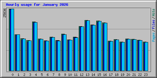 Hourly usage for January 2026